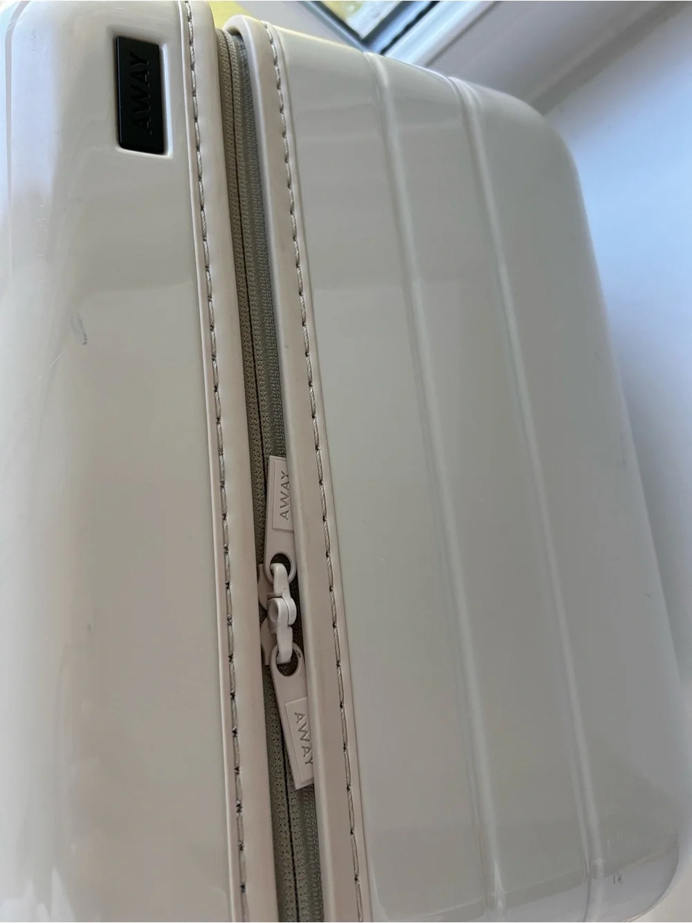 Away Train Case in Salt